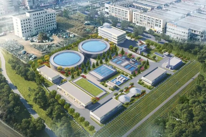 1692174805118350.jpg 640 (6)_787x524.jpg